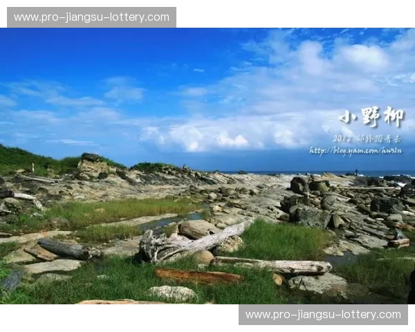 海风轻拂，激情碰撞：墨西哥与库拉索的足球盛宴，不止于绿茵